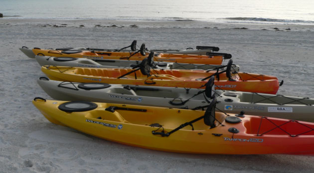 Kayak Fishing Charter Fleets Clearwater, Tampa, St Pete, FL and More