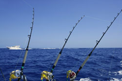 fishing charters clearwater